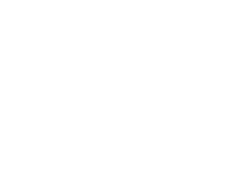 VIRA Bull Icon Mark